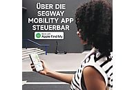 SEGWAY Ninebot E3 D E-Scooter – 10 Zoll, 25 km/h, Klappbar & Stylisch | Schwarz / Silber / Rot